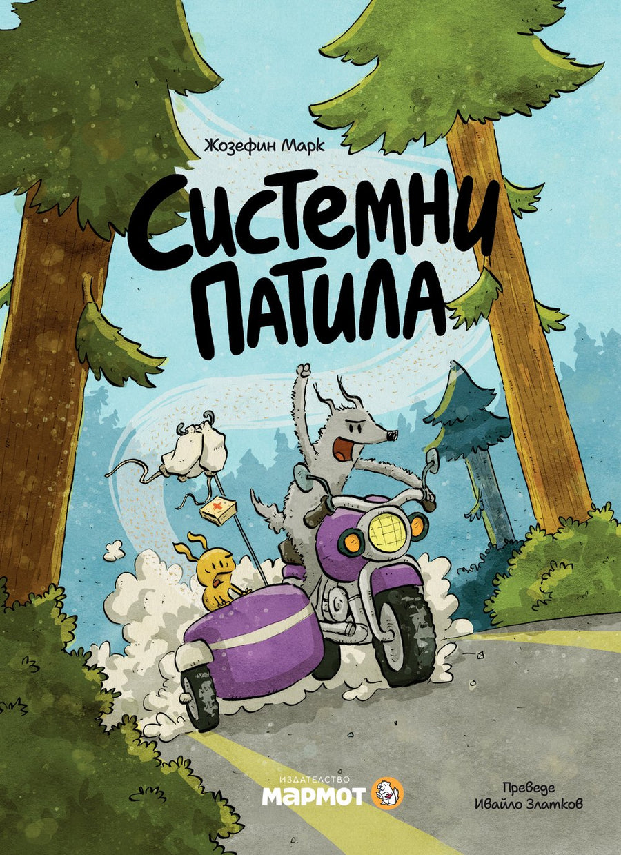 Системни патила