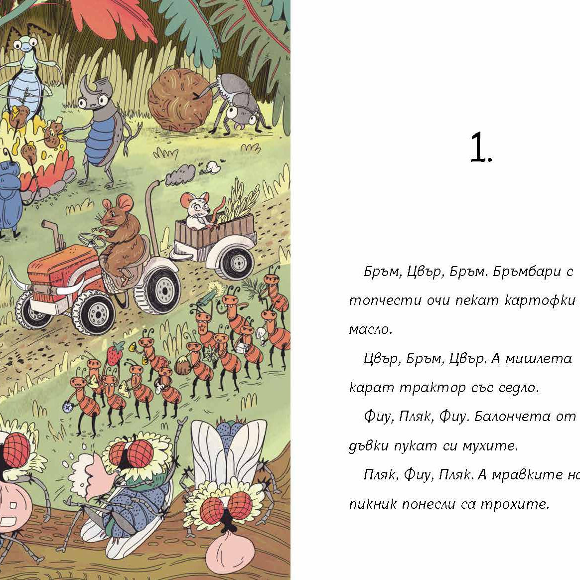 Бръмбар с цип и бръмбар с копче