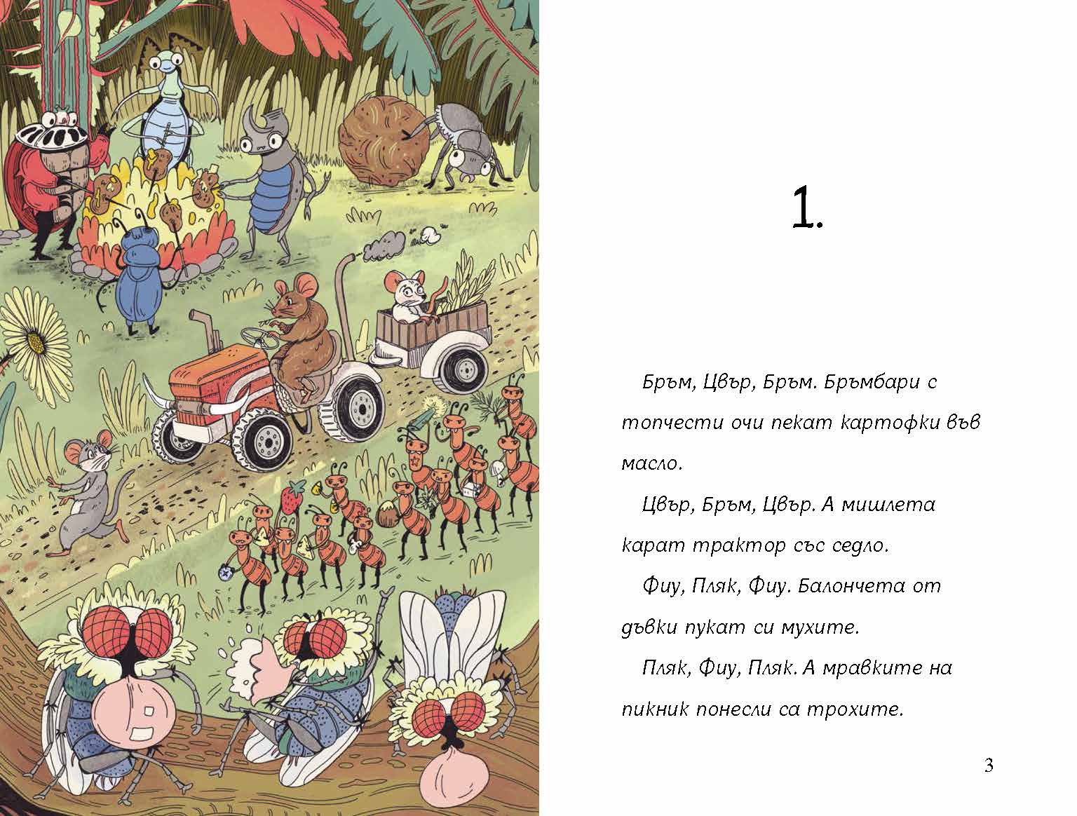 Бръмбар с цип и бръмбар с копче