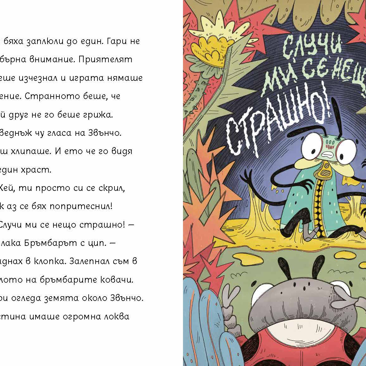 Бръмбар с цип и бръмбар с копче