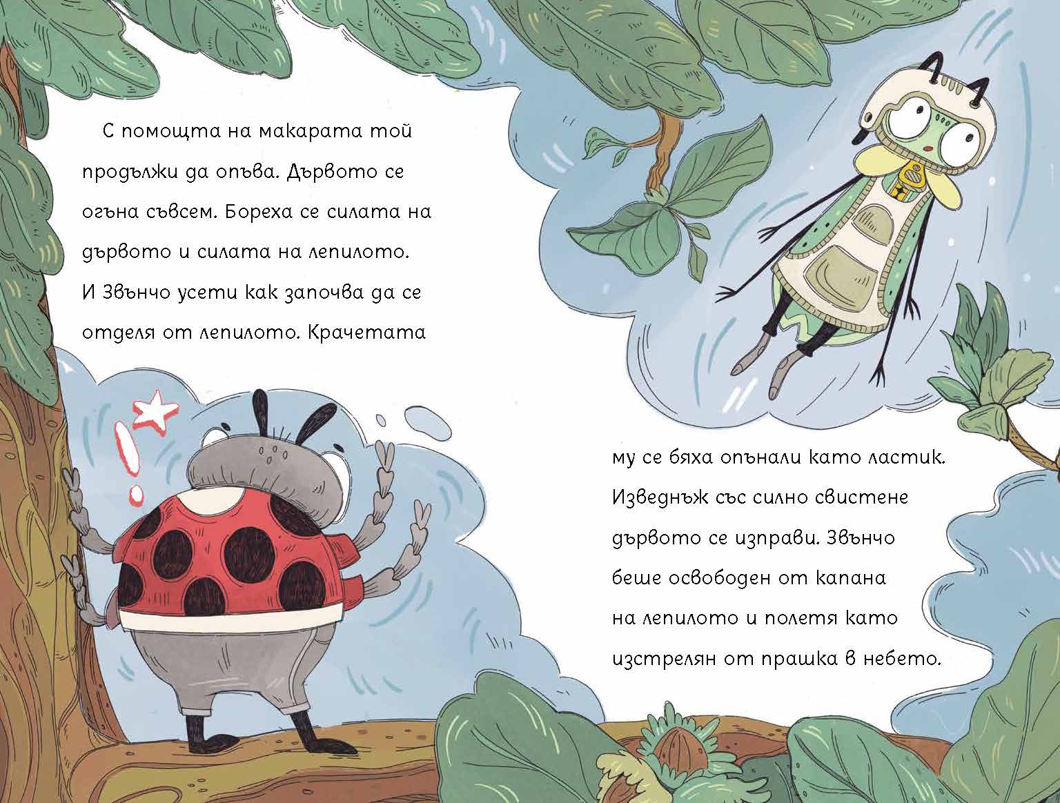 Бръмбар с цип и бръмбар с копче